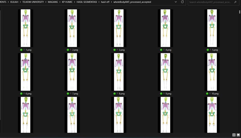 Kupu Batch Processing Result